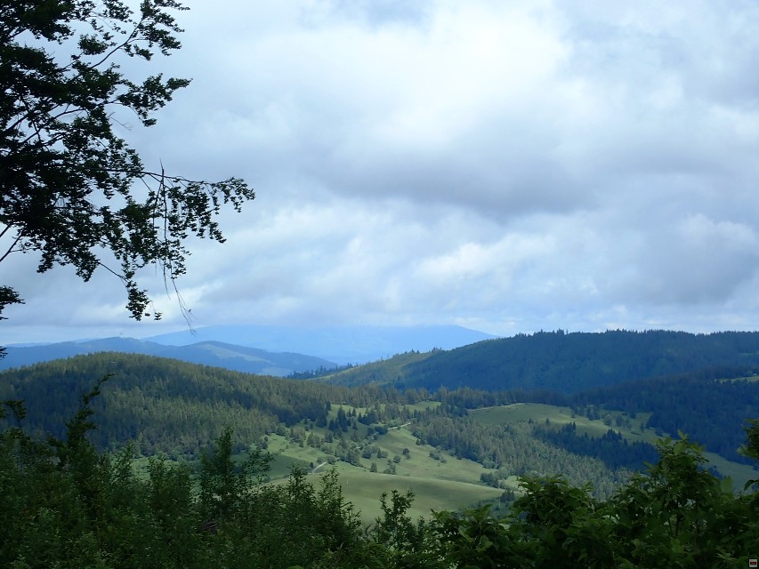 img00013.jpg