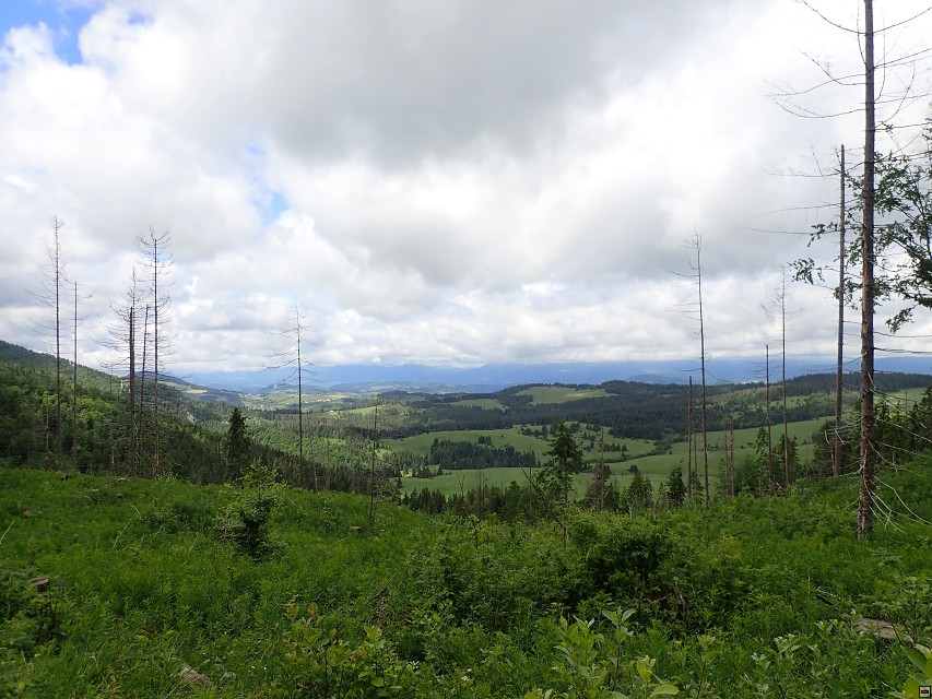 img00014.jpg