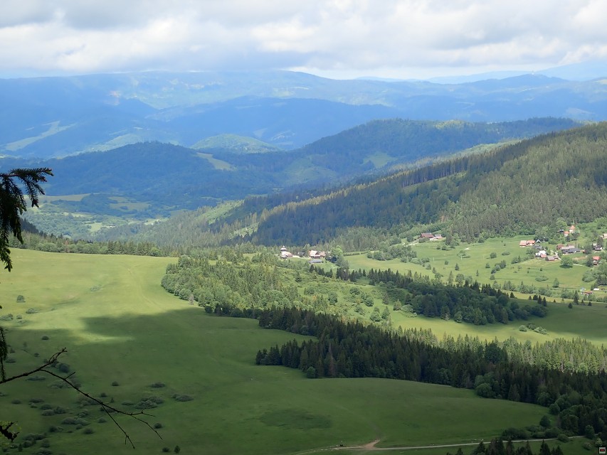 img00019.jpg