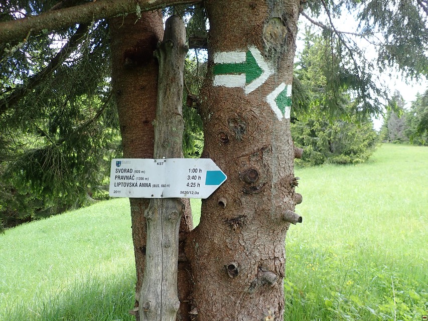 img00023.jpg