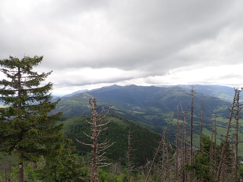 img00029.jpg