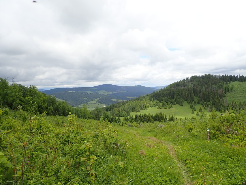 img00037.jpg