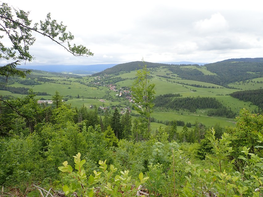 img00045.jpg