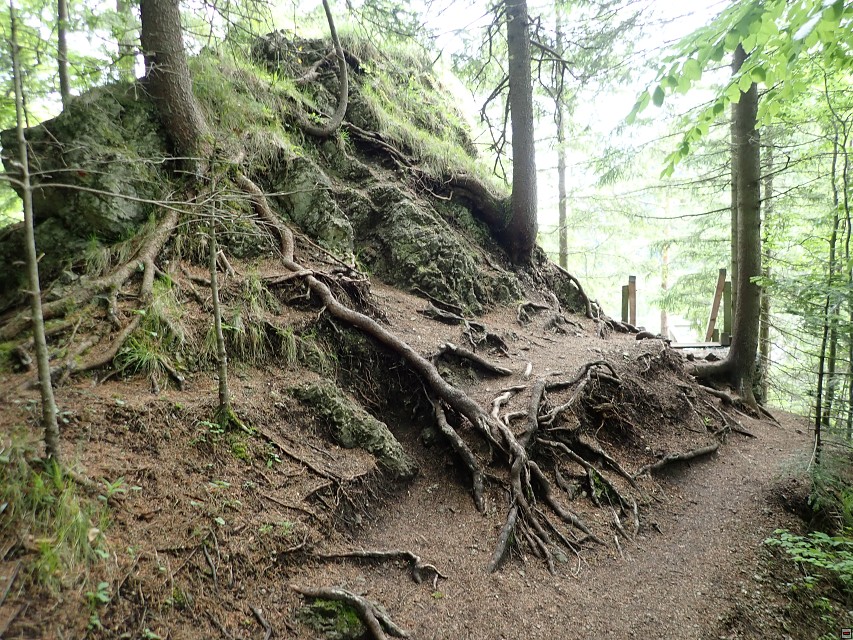 img00053.jpg