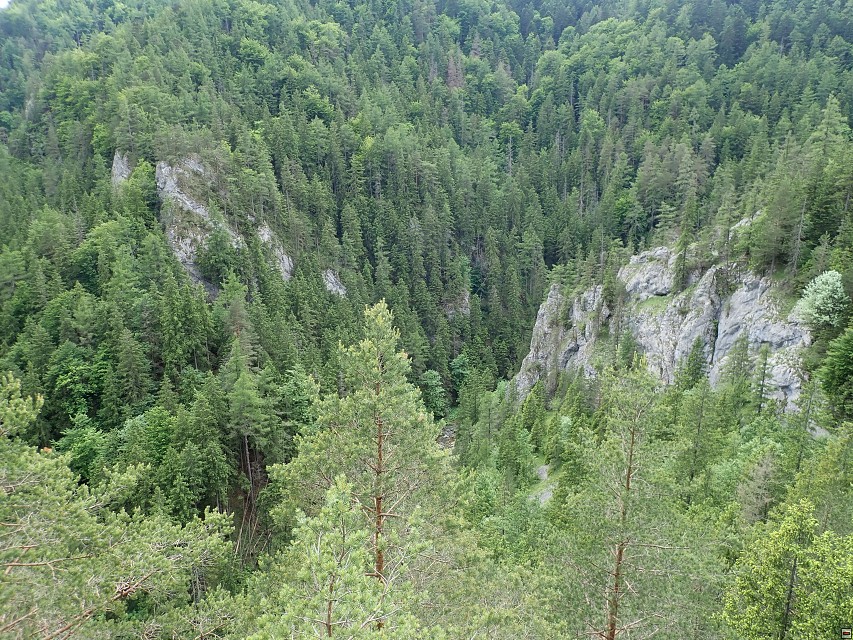 img00056.jpg