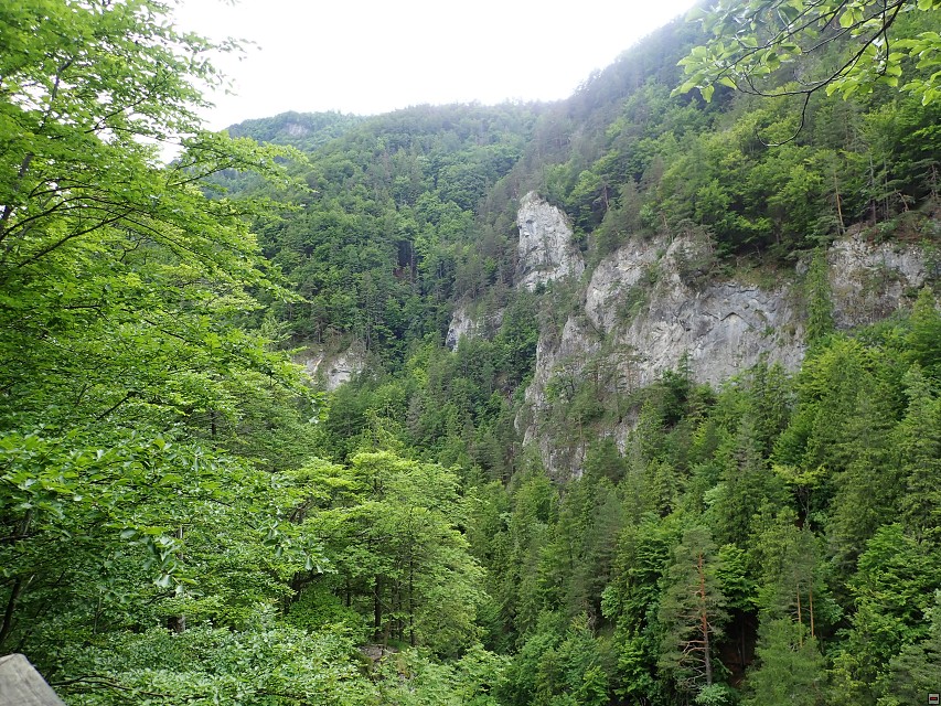 img00059.jpg