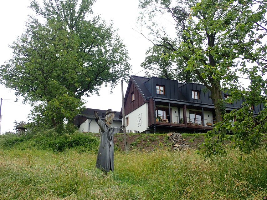 img00010.jpg