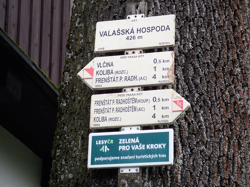 img00011.jpg