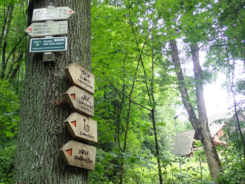img00023.jpg