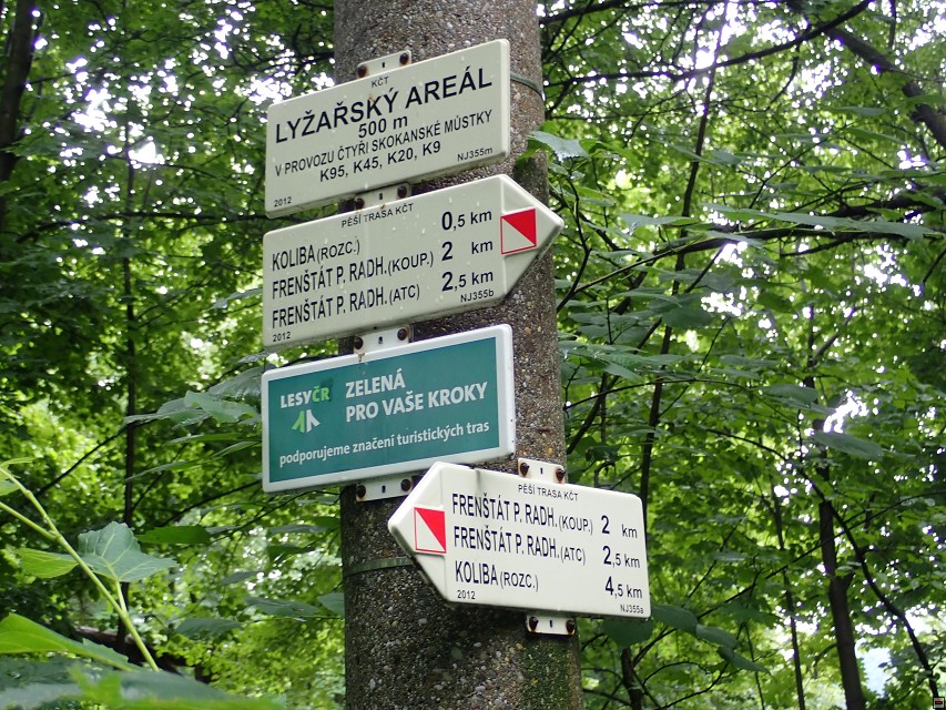 img00026.jpg