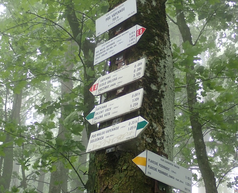 img00005.jpg