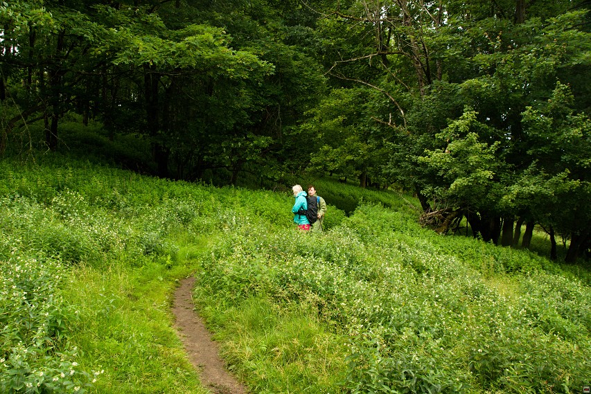 img00007.jpg