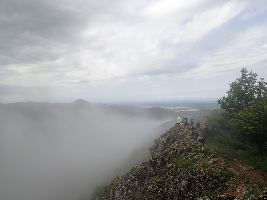 img00014.jpg
