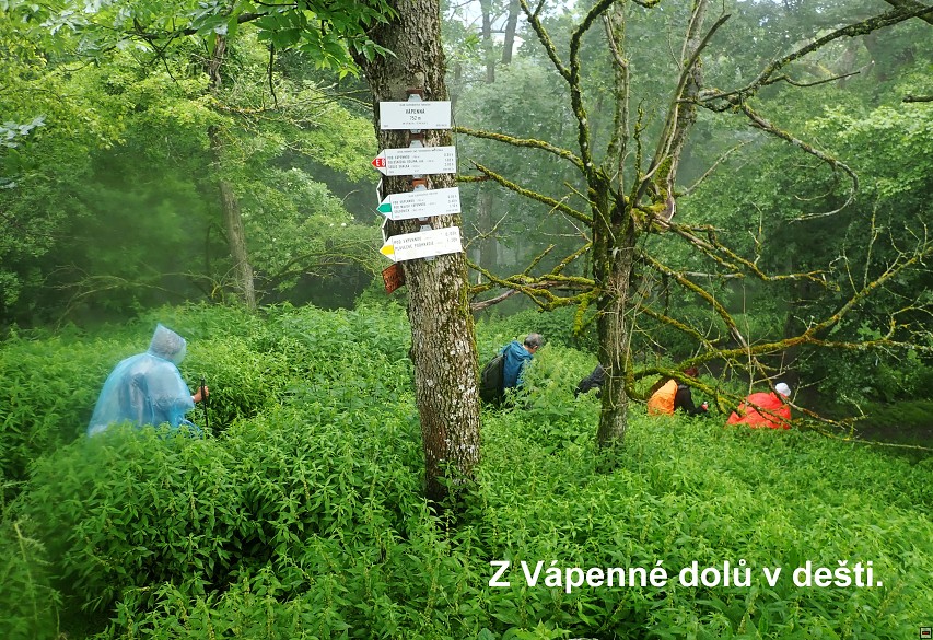 img00018.jpg