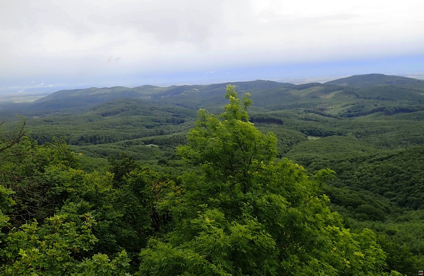 img00027.jpg