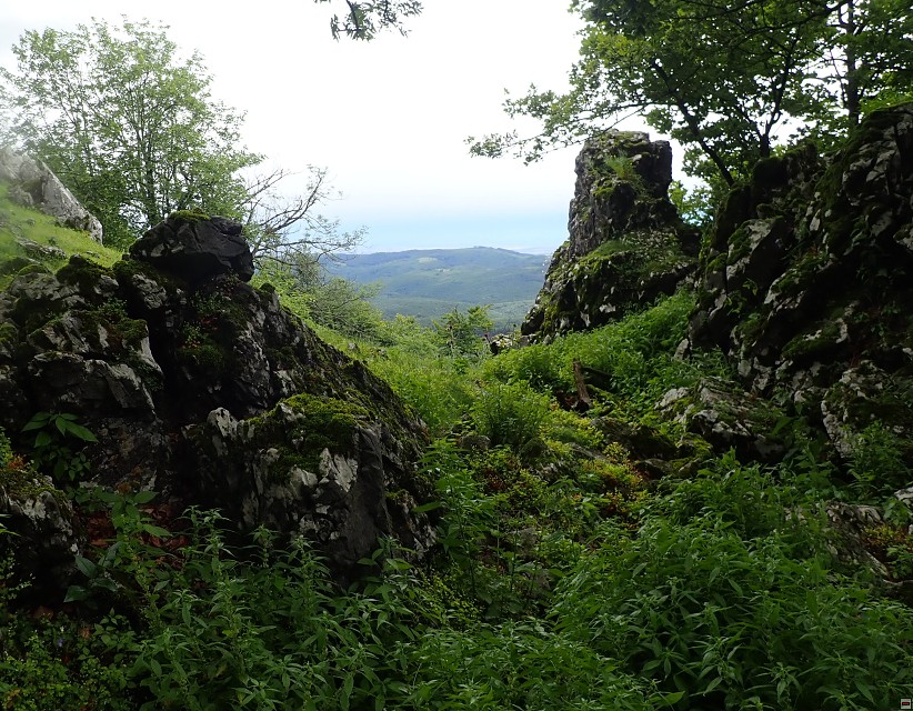 img00028.jpg