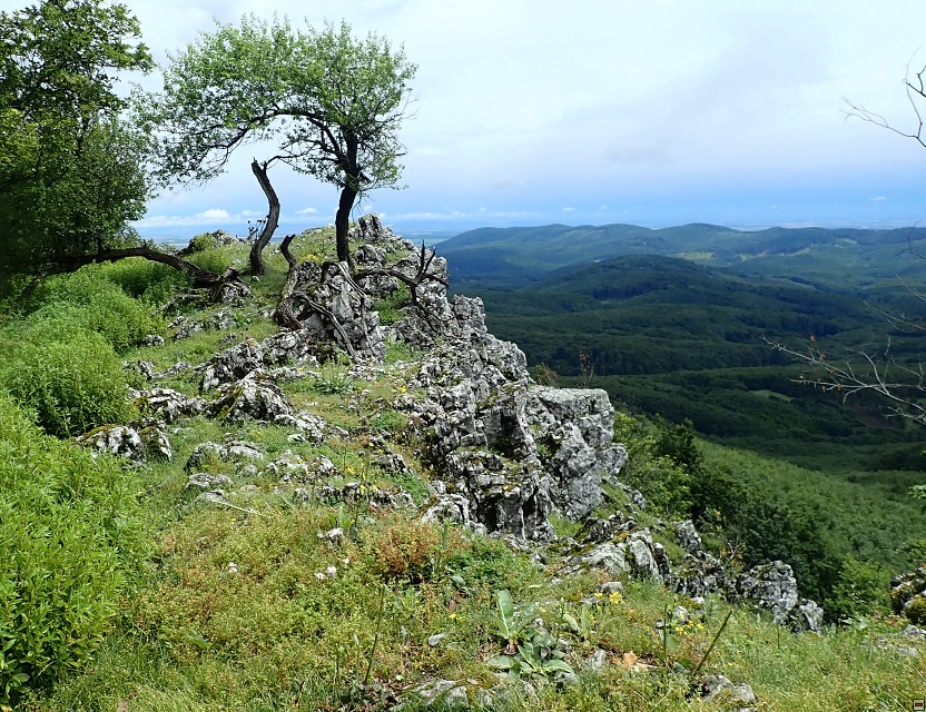 img00030.jpg