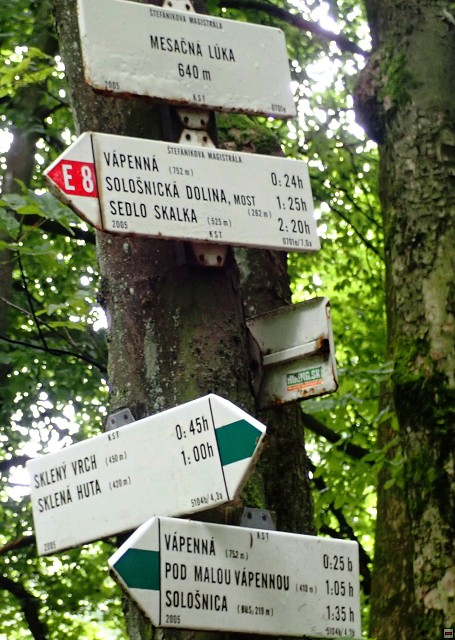 img00031.jpg