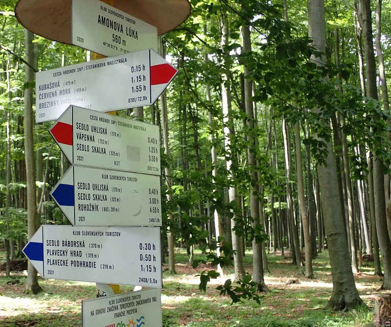 img00046.jpg