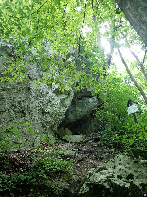 img00051.jpg