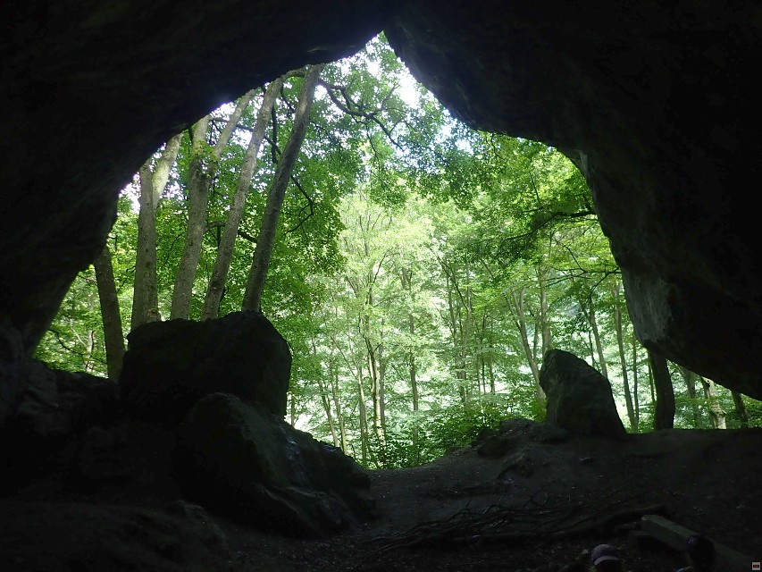 img00056.jpg