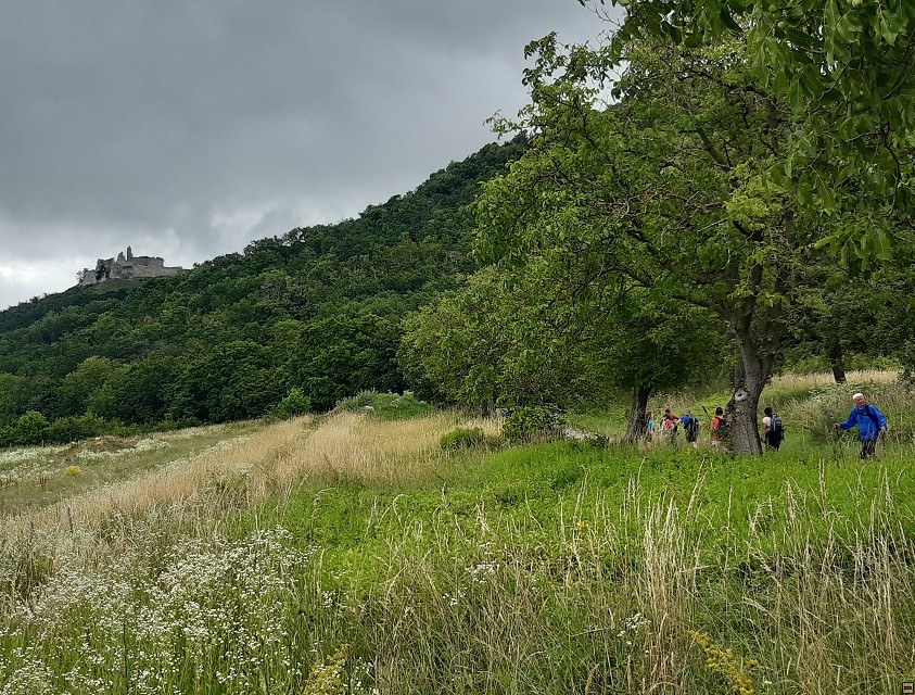 img00067.jpg