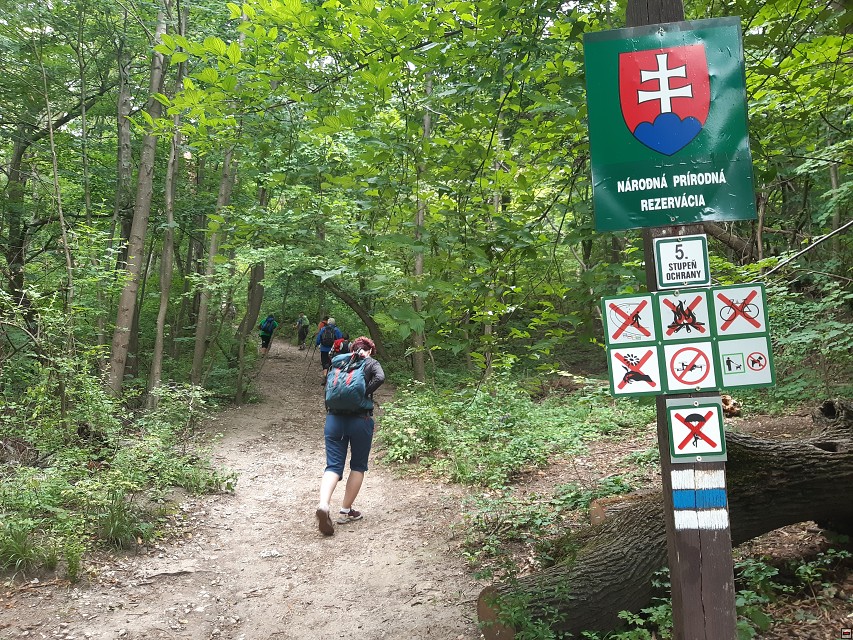 img00068.jpg