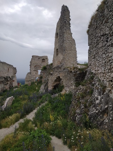 img00076.jpg