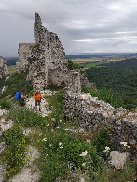 img00081.jpg