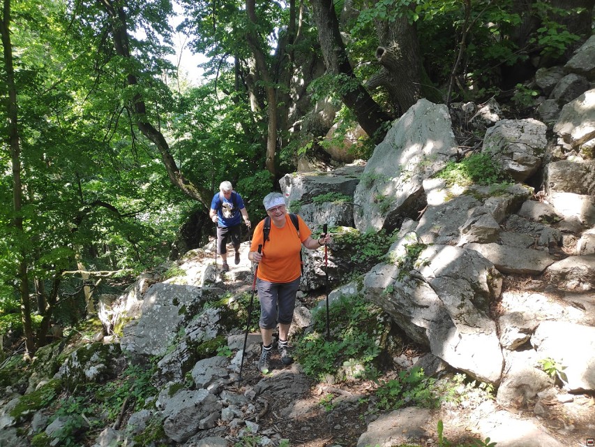 img00008.jpg