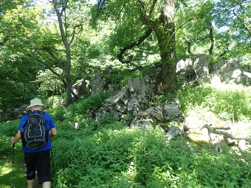 img00018.jpg