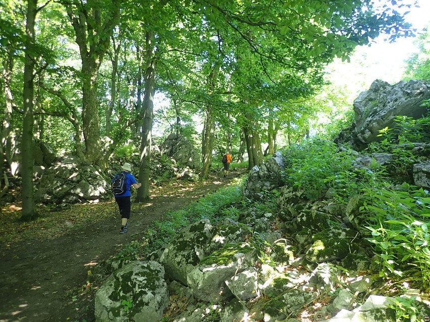 img00019.jpg
