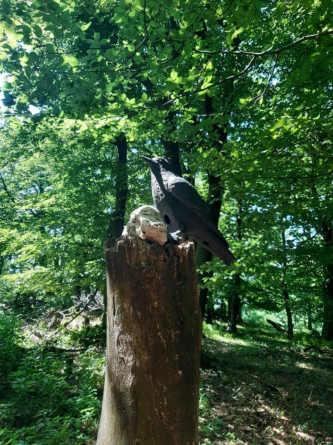 img00021.jpg