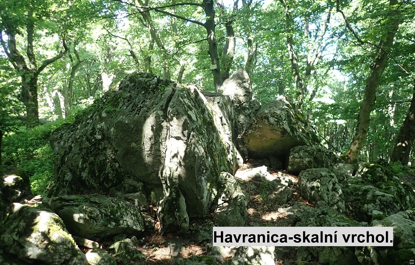 img00022.jpg