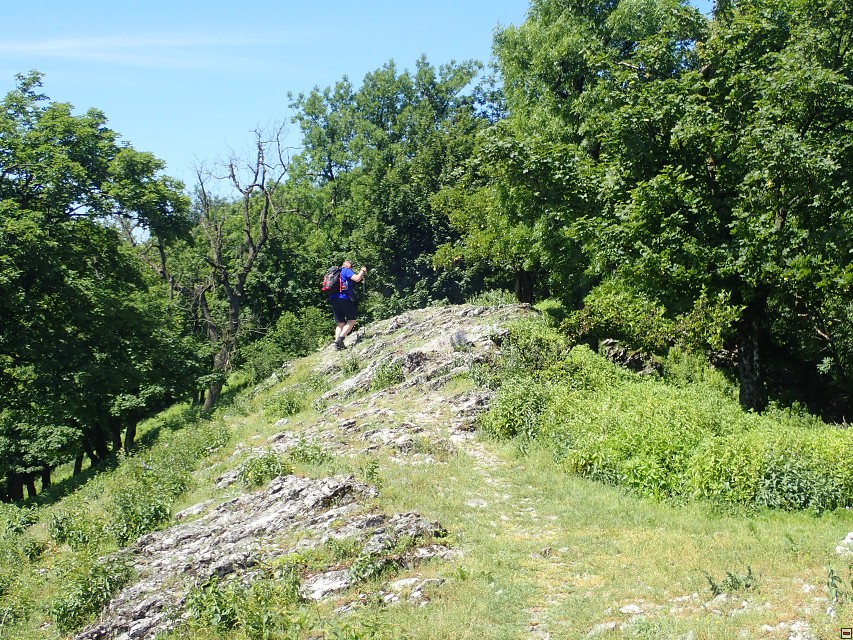 img00026.jpg