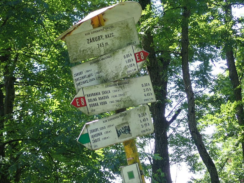 img00028.jpg