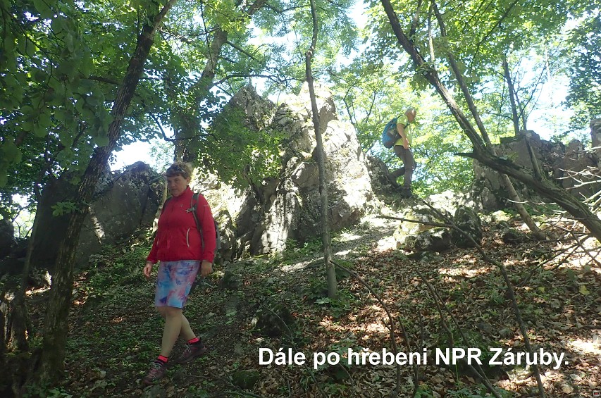 img00036.jpg