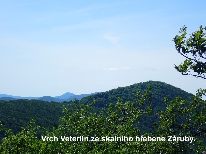 img00042.jpg