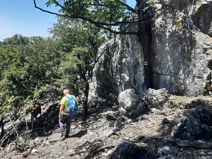 img00044.jpg