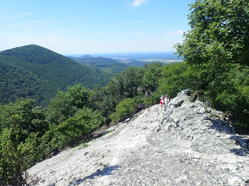 img00047.jpg