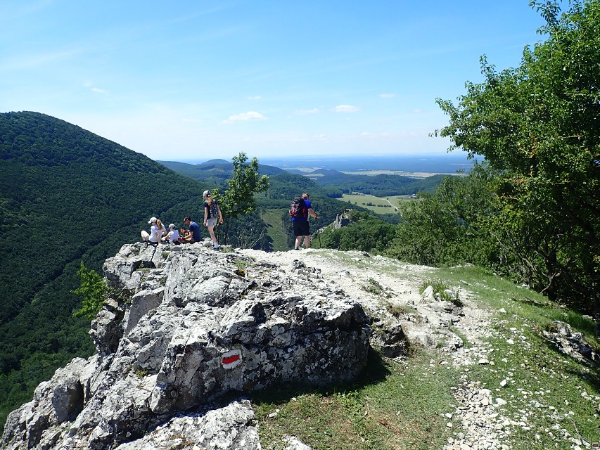 img00050.jpg