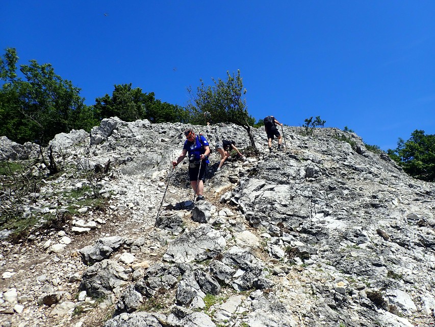 img00052.jpg