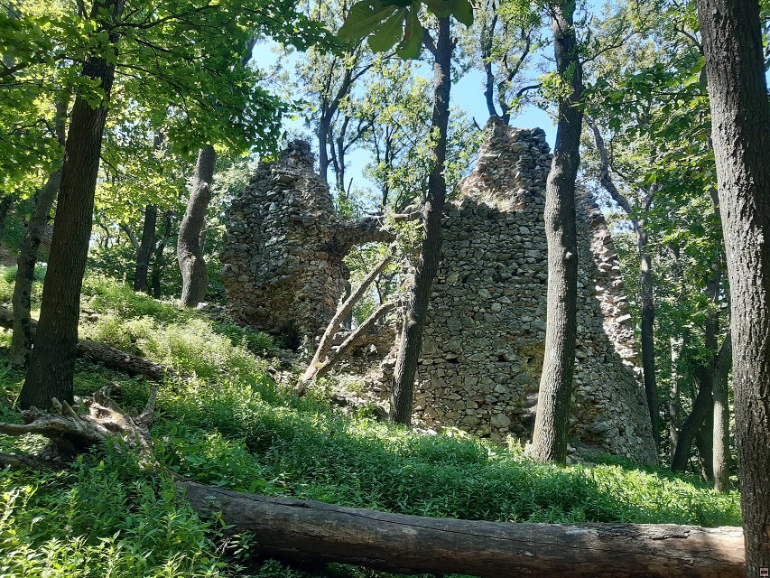 img00054.jpg