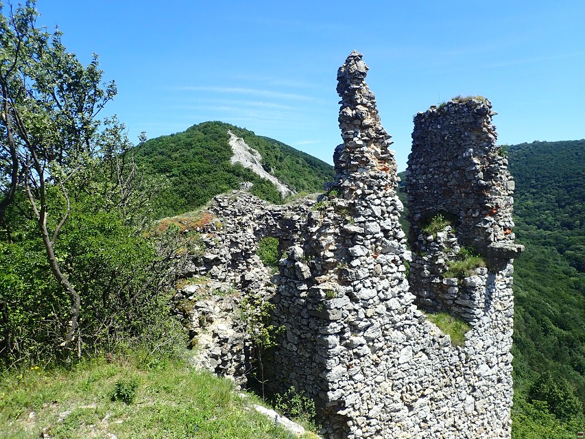 img00057.jpg