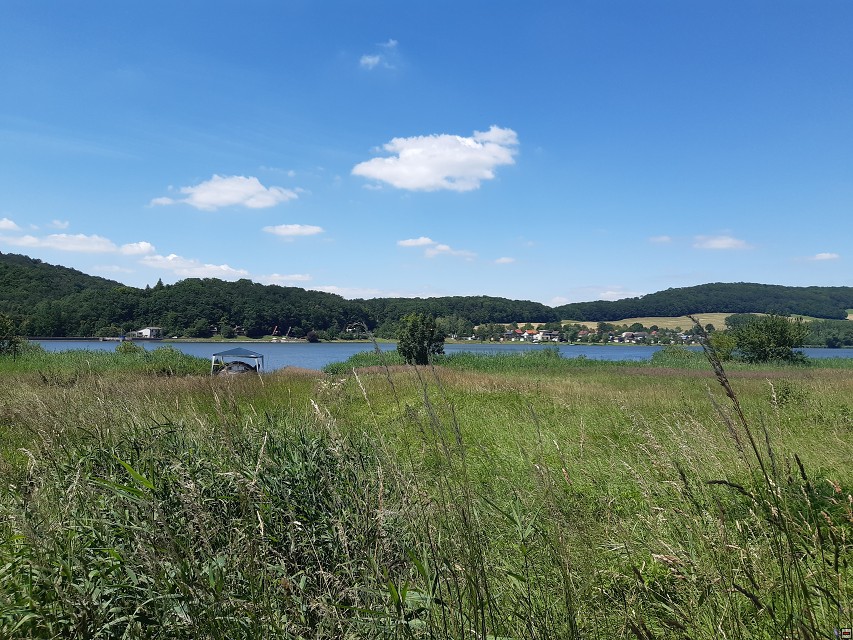 img00062.jpg