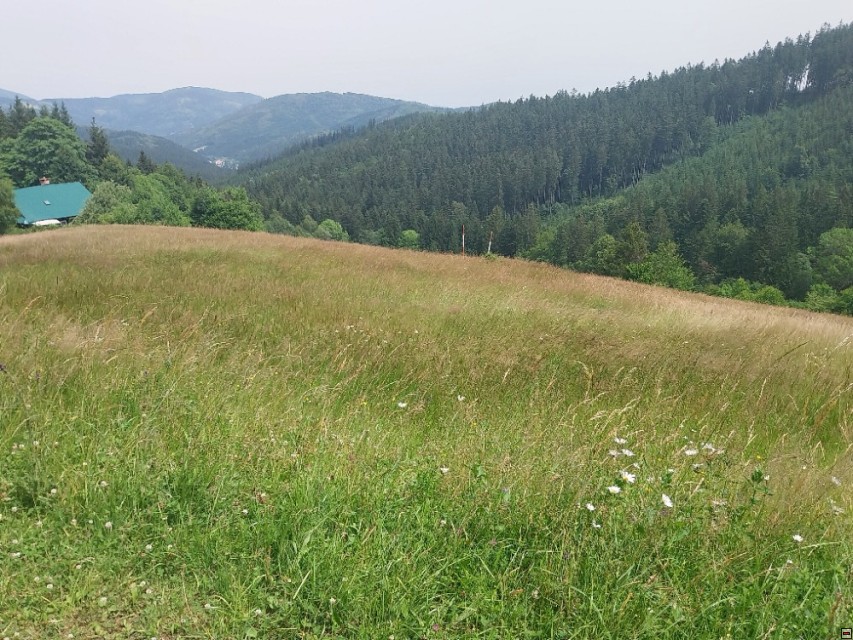 img00014.jpg