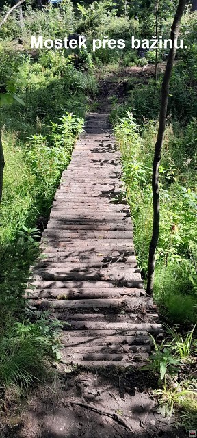 img00004.jpg