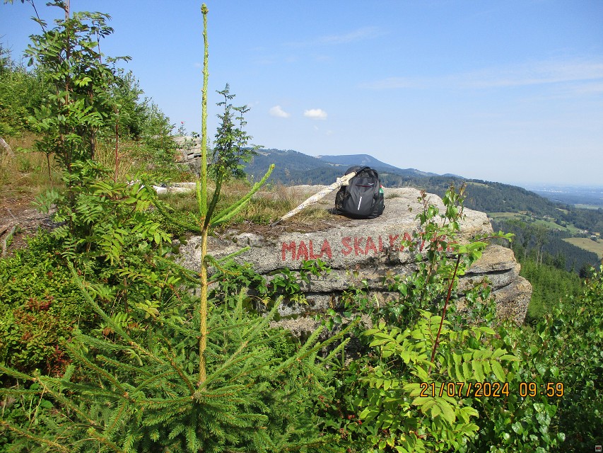 img00007.jpg