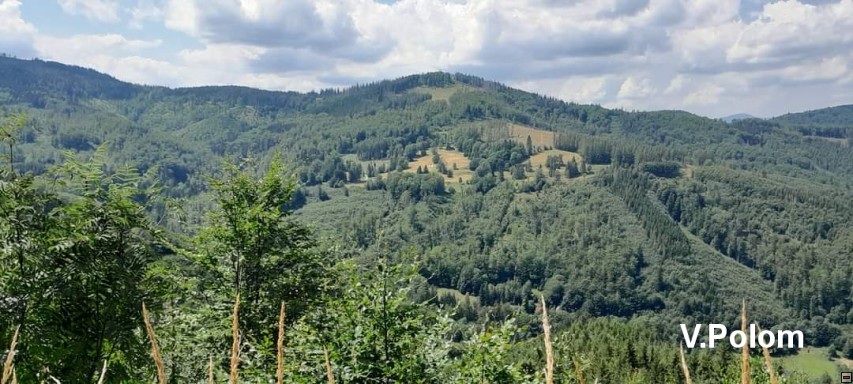 img00024.jpg