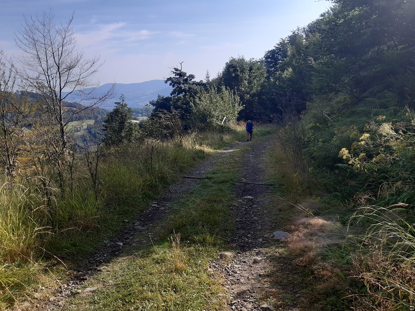 img00007.jpg